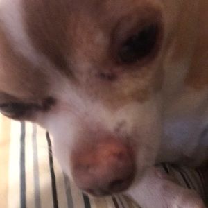 Meet your Posher, Suzanne